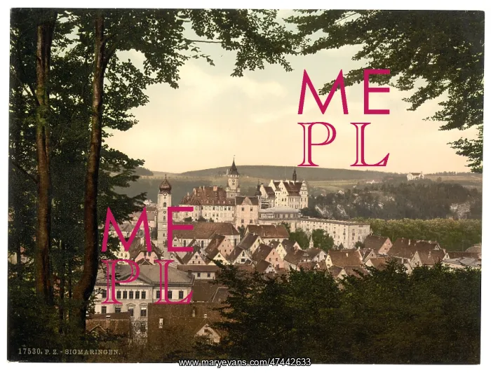 : General view, Sigmarungen (i.e. Sigmaringen), Hohenzollern : General view, Sigmarungen (i.e. Sigmaringen), Hohenzollern