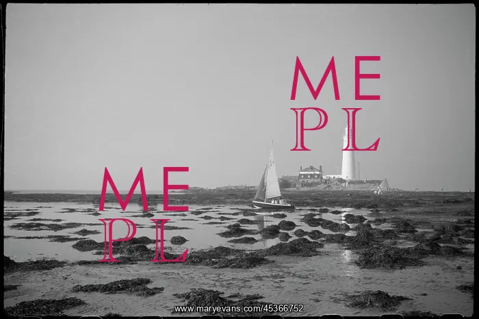 : A general view of St Mary's Island lighthouse : A general view of St Mary's Island lighthouse