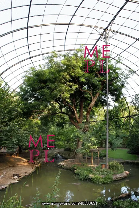 : General view of trees and pond inside la grande : General view of trees and pond inside la grande