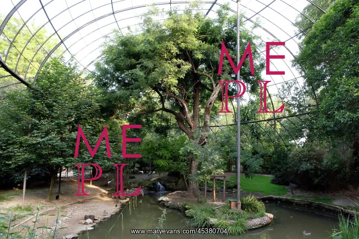 : General view of trees and pond inside la grande : General view of trees and pond inside la grande