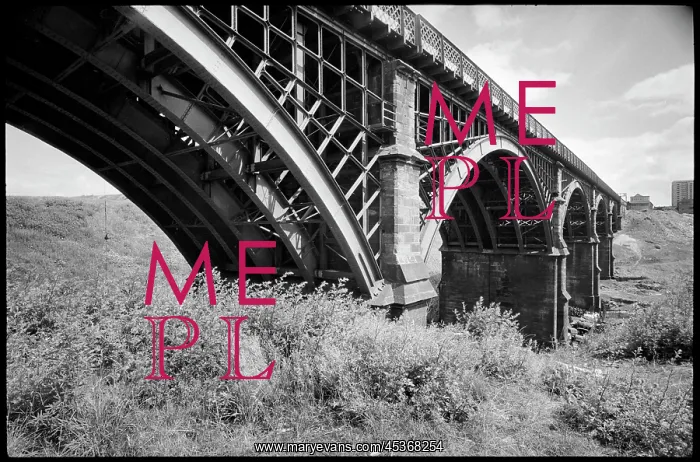 : A general view of the viaduct over the Ouseburn : A general view of the viaduct over the Ouseburn