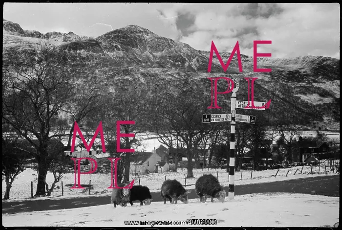 : A general view of the village of Buttermere, situated : A general view of the village of Buttermere, situated