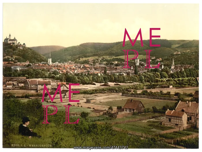 : General view, Wernigerode, Hartz, Germany : General view, Wernigerode, Hartz, Germany