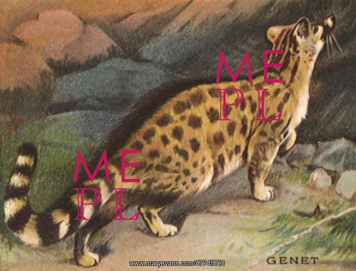  : Genet