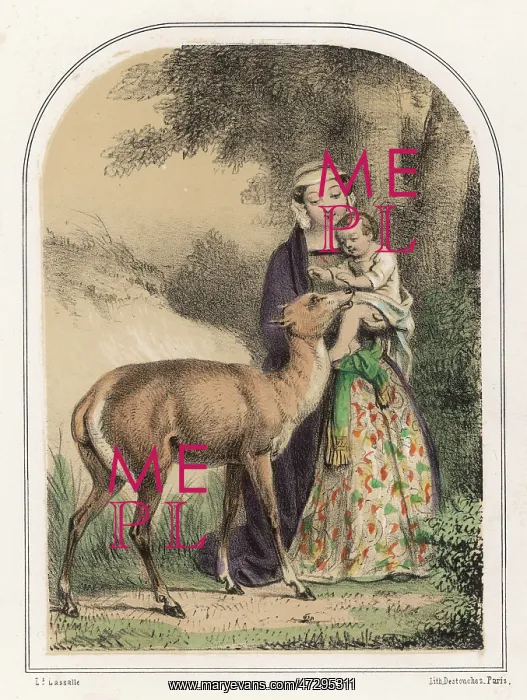 : GENEVIEVE SAVED BY DEER : GENEVIEVE SAVED BY DEER