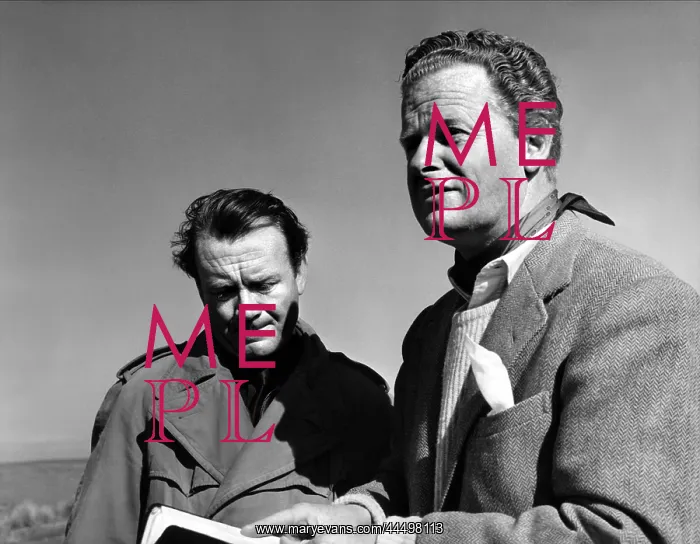  : The Gentle Gunman (1952)