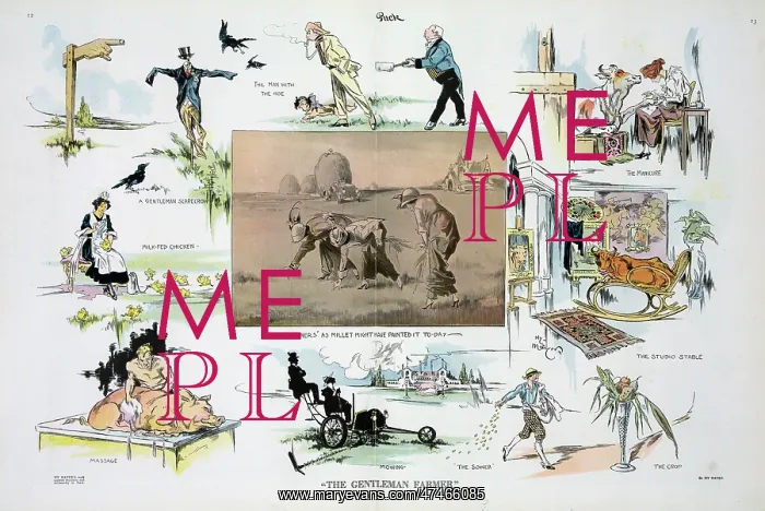 : The gentleman farmer : The gentleman farmer