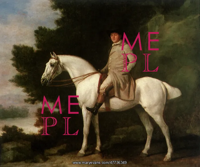  : A Gentleman on a Grey Horse, by Stubbs