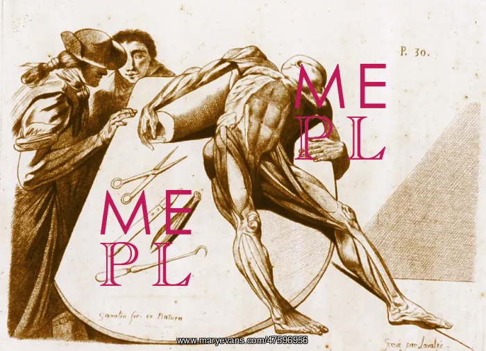 : Two gentlemen contemplating a cadaver : Two gentlemen contemplating a cadaver