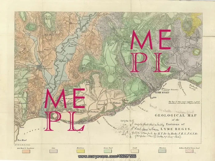 : Geological map of the environs of Lyme Reis : Geological map of the environs of Lyme Reis