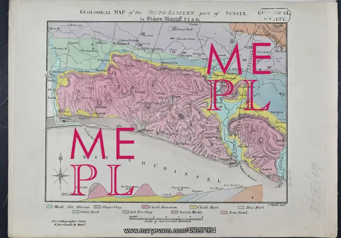 : Geological Map of the South-Eastern part of Sussex : Geological Map of the South-Eastern part of Sussex