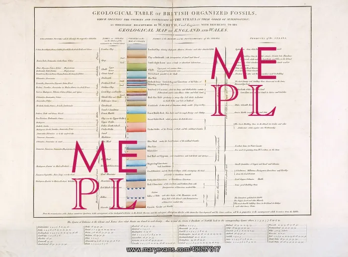 : Geological Table of British Organized Fossils : Geological Table of British Organized Fossils