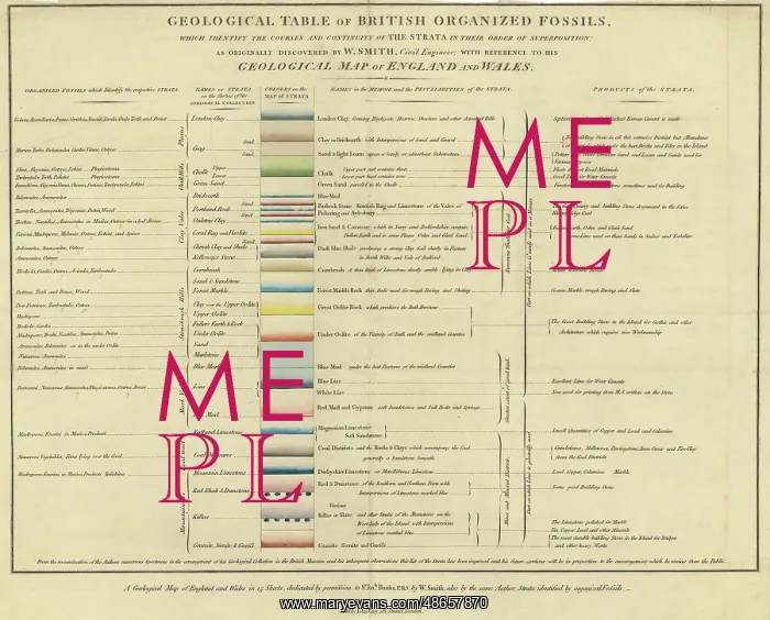 : Geological table of British organized fossils : Geological table of British organized fossils