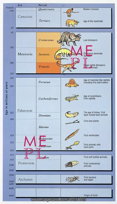  : Geological timetable