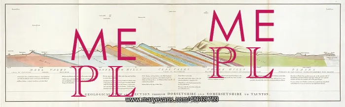 : Geological view, section through Dorsetshire, Somersetshire : Geological view, section through Dorsetshire, Somersetshire