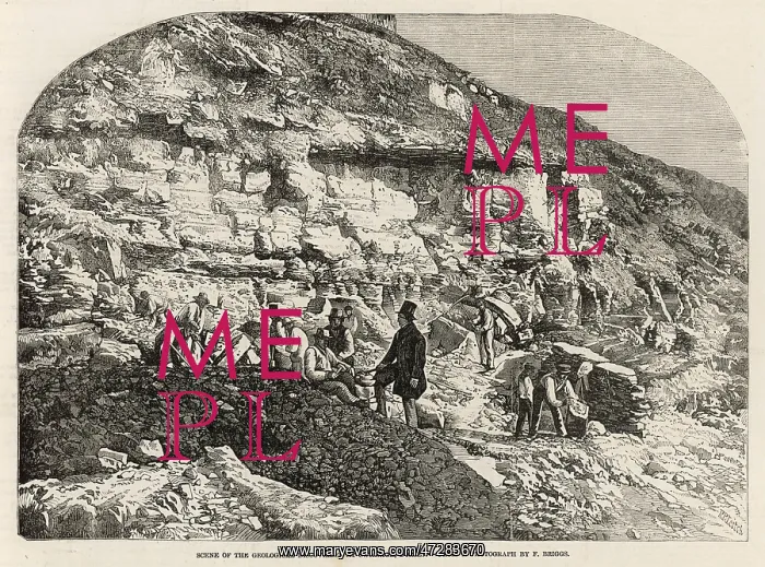 : GEOLOGISTS AT SWANAGE : GEOLOGISTS AT SWANAGE