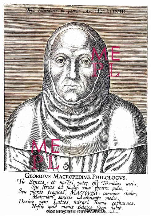  : GEORG LANGENVELDT