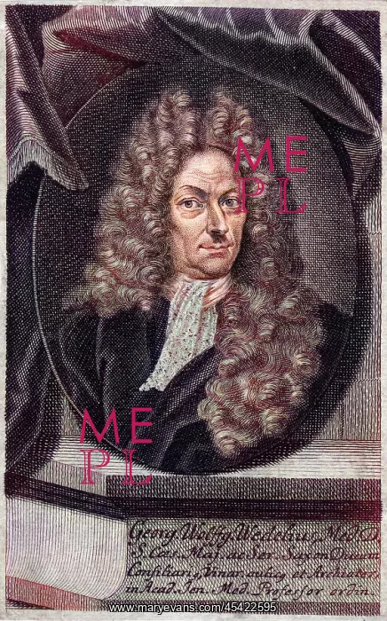  : GEORG WEDEL