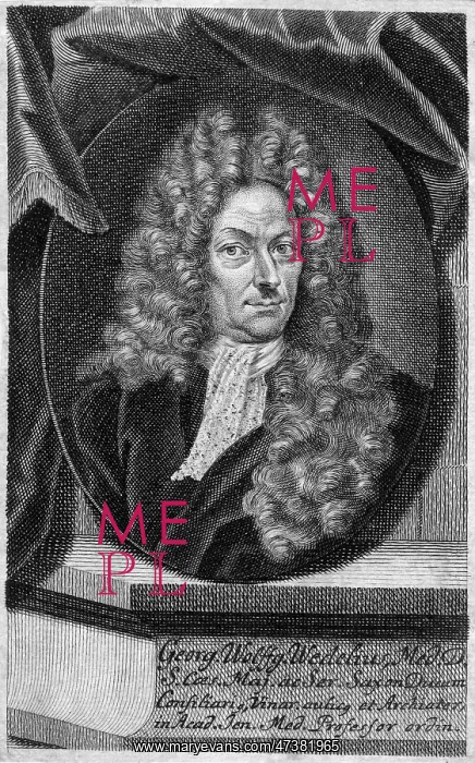  : GEORG WEDEL