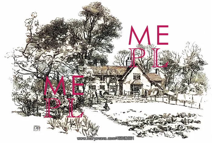 : GEORGE ELIOT / BIRTHPLACE : GEORGE ELIOT / BIRTHPLACE