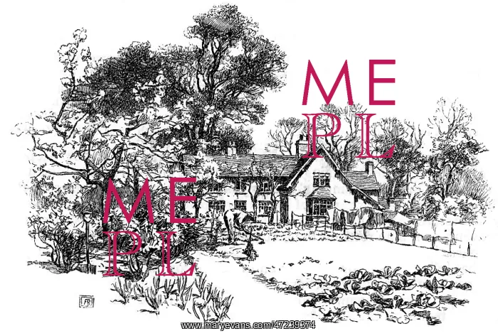: GEORGE ELIOT / BIRTHPLACE : GEORGE ELIOT / BIRTHPLACE