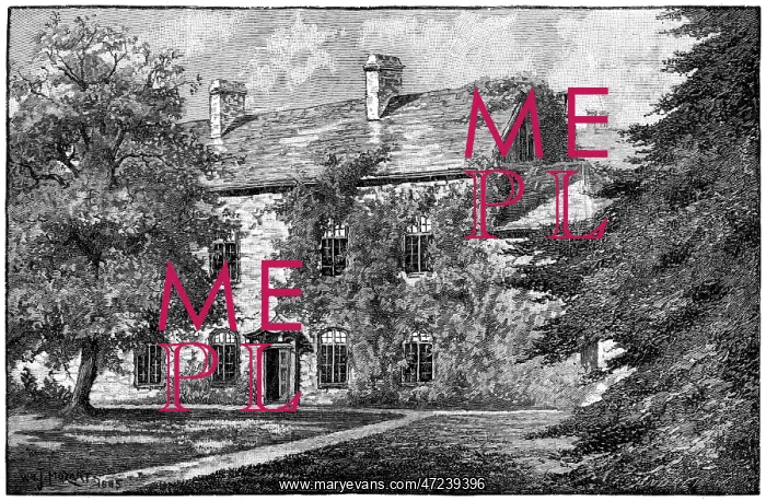 : GEORGE ELIOT / GRIFF HOUSE : GEORGE ELIOT / GRIFF HOUSE