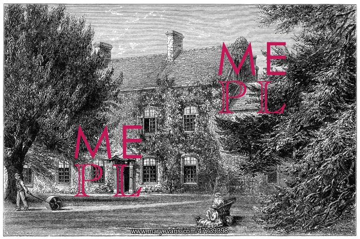 : GEORGE ELIOT / GRIFF HOUSE : GEORGE ELIOT / GRIFF HOUSE