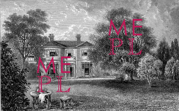 : GEORGE ELIOT / ROSEHILL : GEORGE ELIOT / ROSEHILL