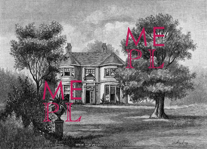 : GEORGE ELIOT / ROSEHILL : GEORGE ELIOT / ROSEHILL