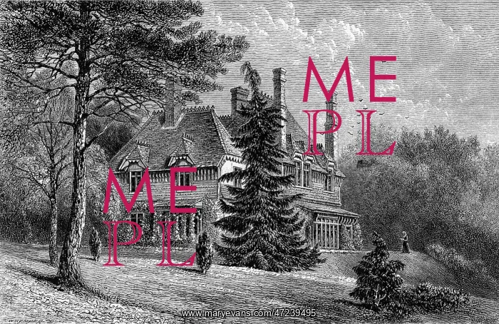 : GEORGE ELIOT / WITLEY : GEORGE ELIOT / WITLEY