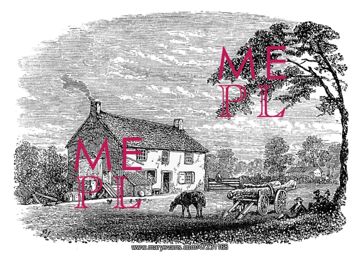  : George Stephenson - Wylam