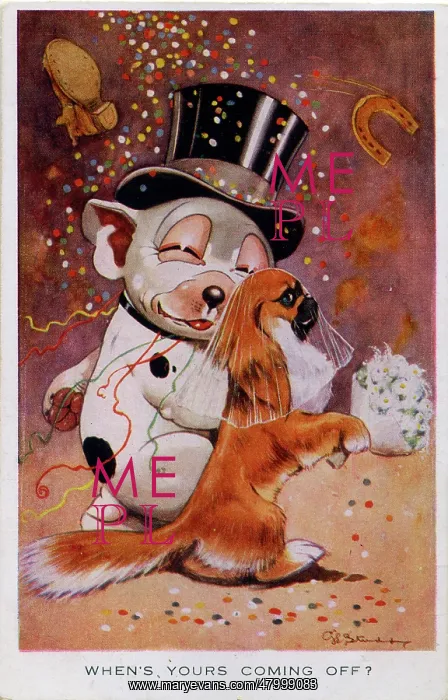 : George Studdy, Bonzo postcard : George Studdy, Bonzo postcard