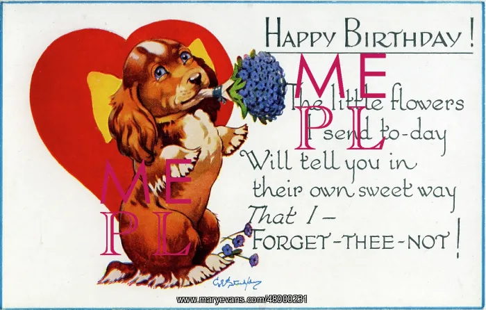 : George Studdy, Happy Birthday postcard : George Studdy, Happy Birthday postcard