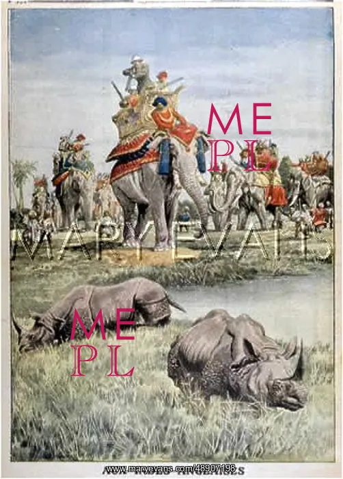 : GEORGE V VERSUS RHINO : GEORGE V VERSUS RHINO