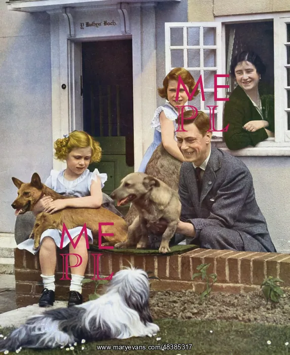 : George VI with his daughters and their pet dogs : George VI with his daughters and their pet dogs