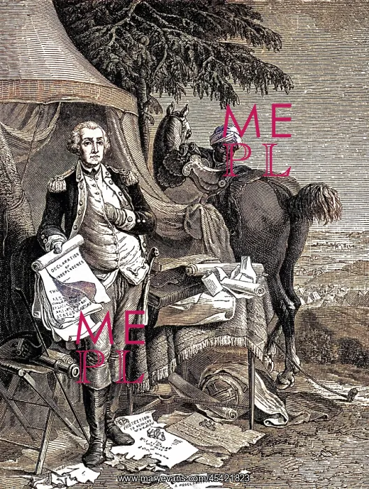 : GEORGE WASHINGTON : GEORGE WASHINGTON