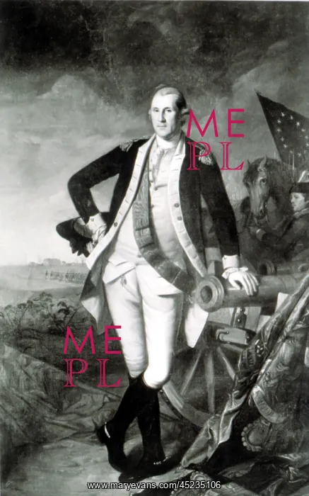 : George Washington at the Battle of Princeton ? : George Washington at the Battle of Princeton ?
