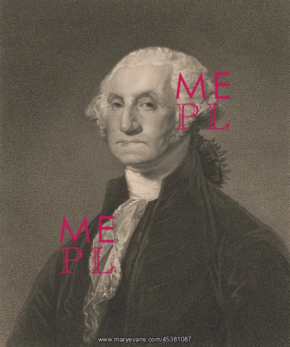 : George Washington, engraving after Gilbert : George Washington, engraving after Gilbert
