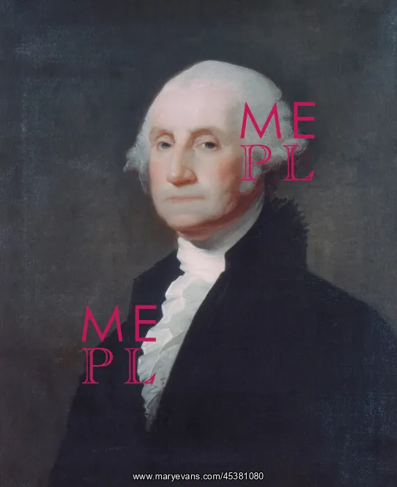 : George Washington, by Gilbert Stuart, 1803 : George Washington, by Gilbert Stuart, 1803