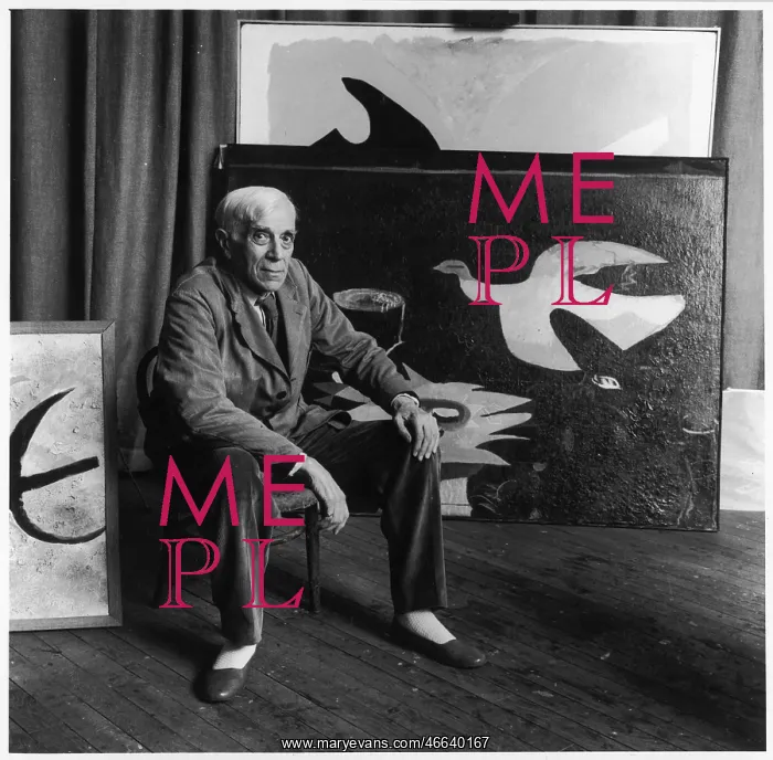 : GEORGES BRAQUE : GEORGES BRAQUE