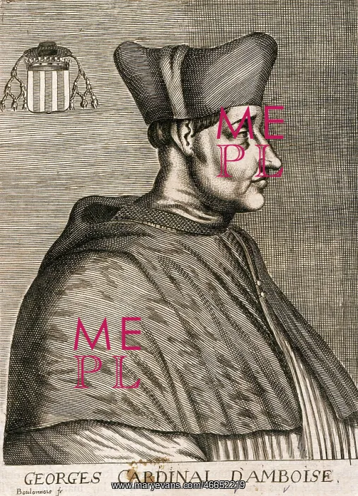: Georges D'Amboise : Georges D'Amboise
