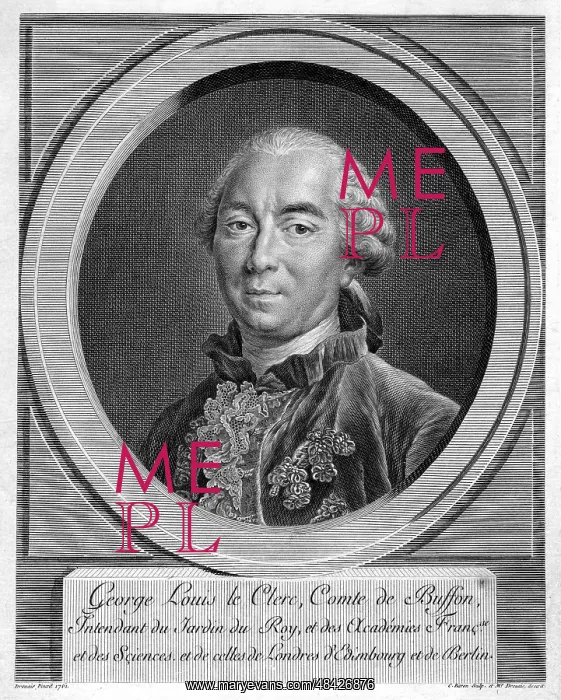 : Georges-Louis Leclerc, Comte de Buffon (1707-88) : Georges-Louis Leclerc, Comte de Buffon (1707-88)