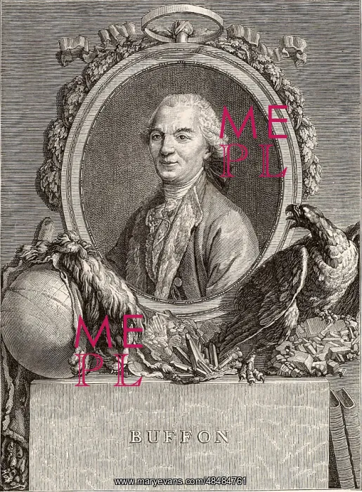 : Georges-Louis Leclerc, Comte de Buffon (1707-88) : Georges-Louis Leclerc, Comte de Buffon (1707-88)