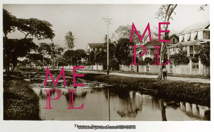 : Georgetown, Guyana, Caribbean : Georgetown, Guyana, Caribbean