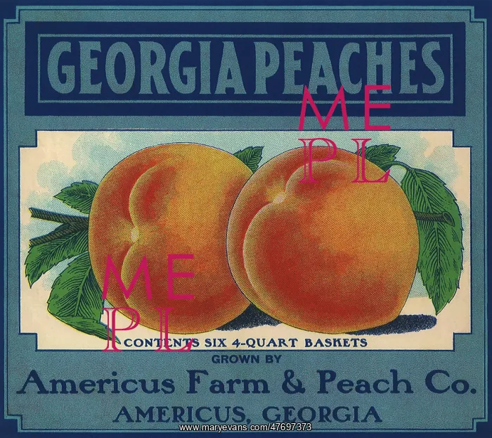  : Georgia Peaches