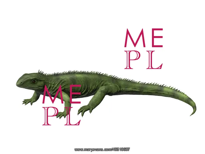 : Gephyrosaurus is an extinct animal from the Early Jurassic ? : Gephyrosaurus is an extinct animal from the Early Jurassic ?