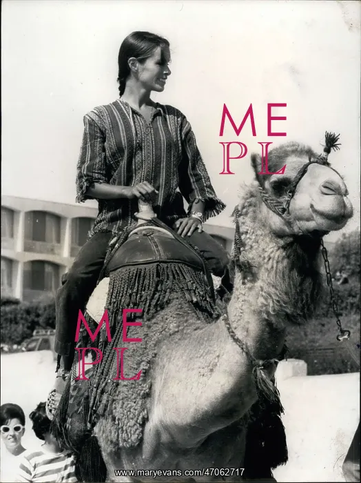 : Geraldine Chaplin, actress, riding a camel, Jerusalem : Geraldine Chaplin, actress, riding a camel, Jerusalem