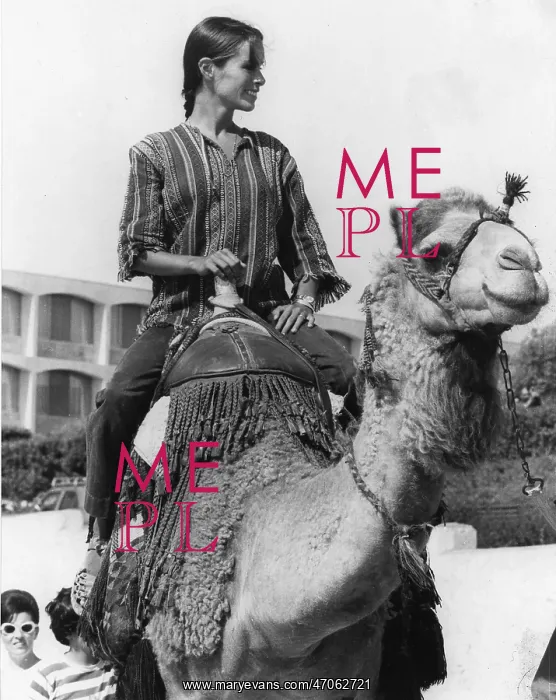 : Geraldine Chaplin, actress, riding a camel, Jerusalem : Geraldine Chaplin, actress, riding a camel, Jerusalem