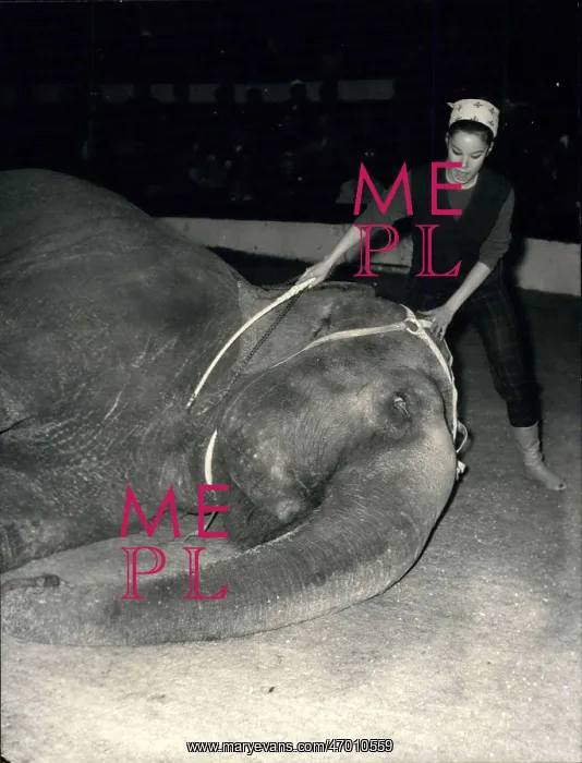 : Geraldine Chaplin with elephant at Cirque d'Hiver, Paris : Geraldine Chaplin with elephant at Cirque d'Hiver, Paris