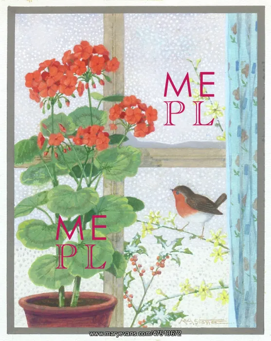 : Geranium and robin on jessamine : Geranium and robin on jessamine